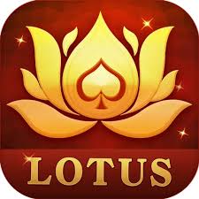 dream teen patti app download